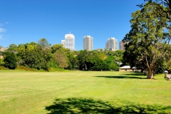 VUE_5561-2