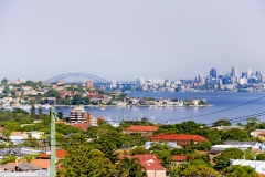 DSC0052